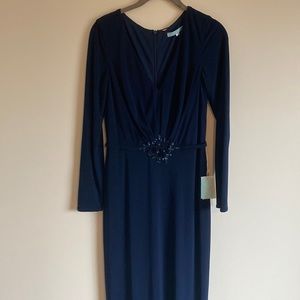 NWT Navy Kathy Hilton Dress